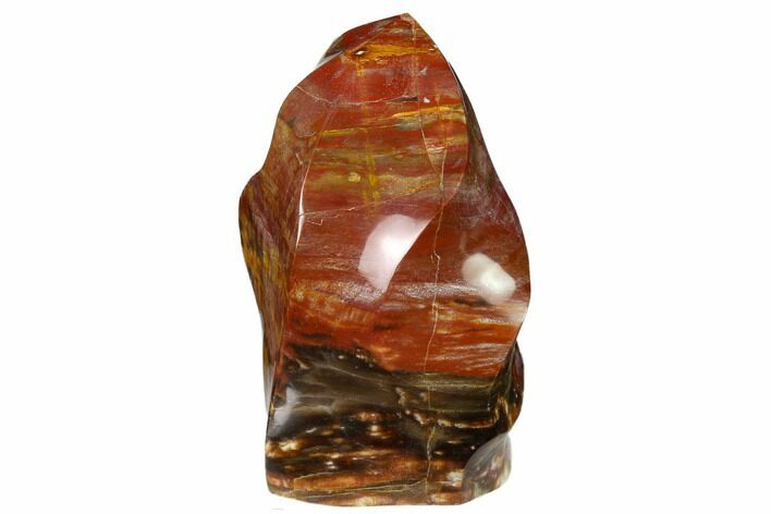 Polished Petrified Wood Flame - Madagascar #153262